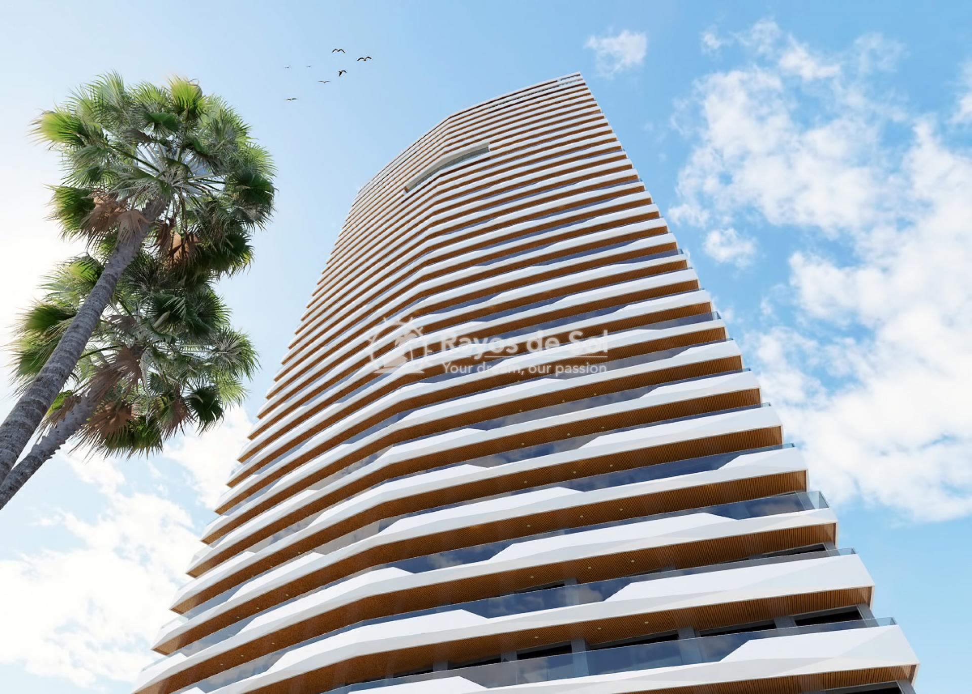 Penthouse 35th floor  in Benidorm, Costa Blanca (Benidormb 35F) - 34