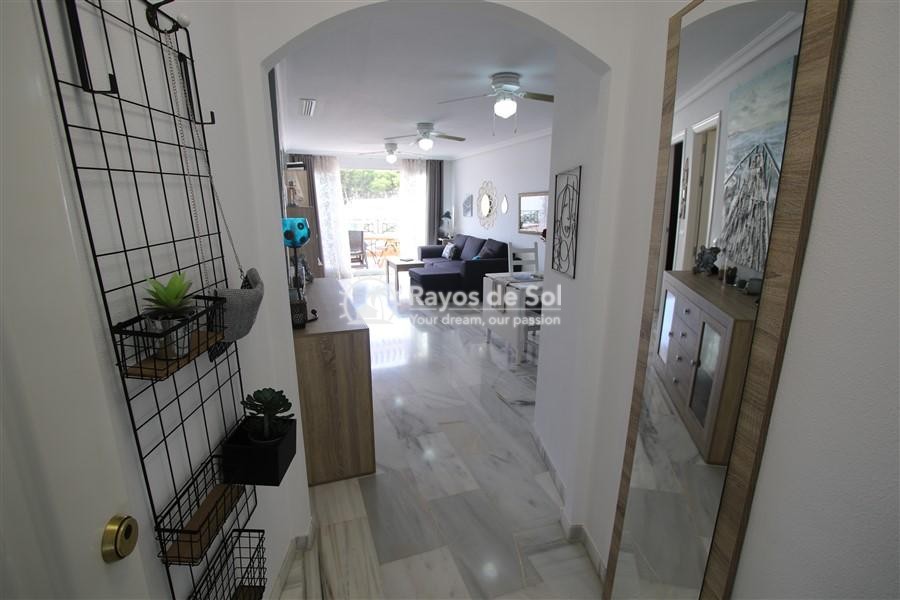 Apartment  in Calpe, Costa Blanca North (3158) - 28