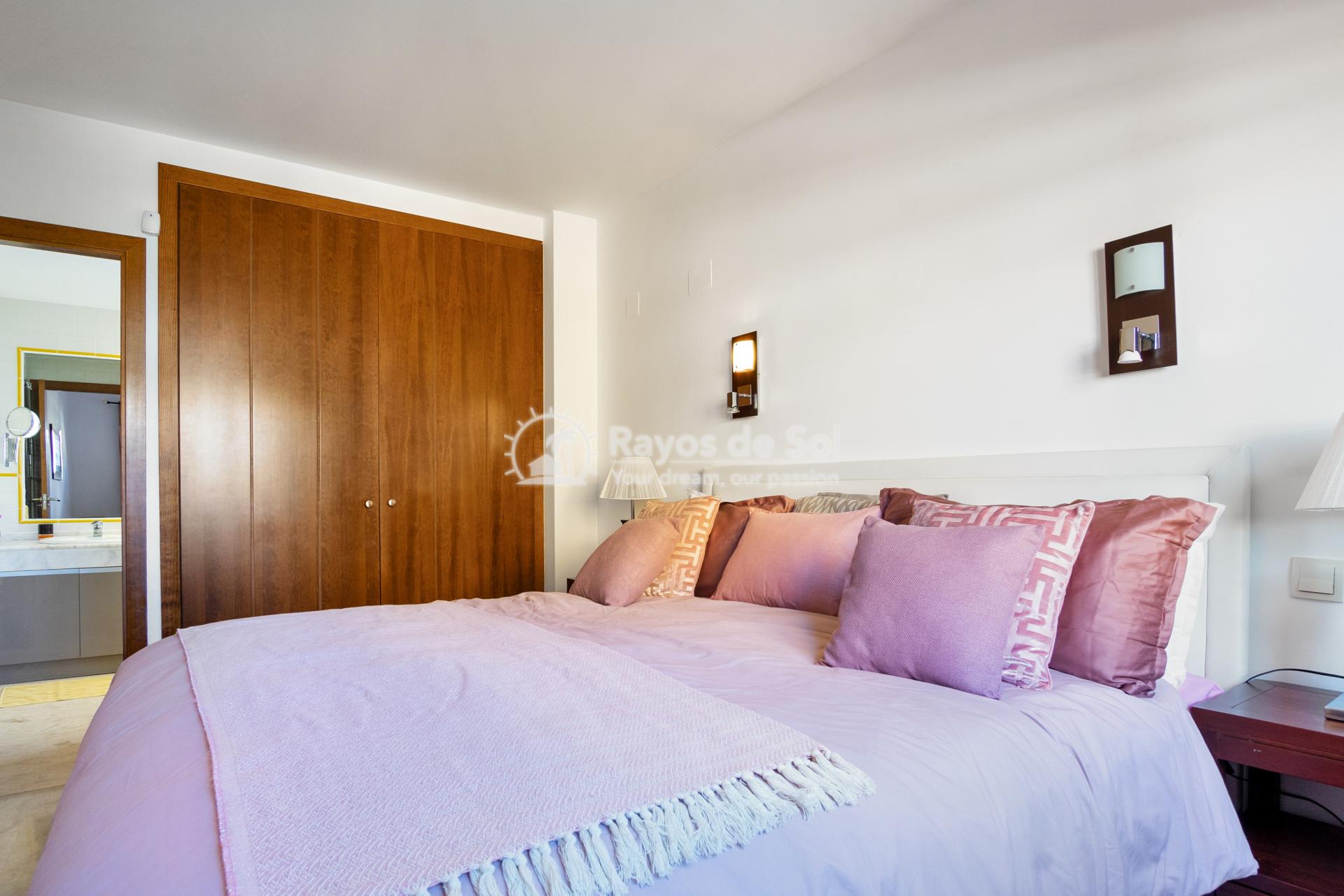 Apartment  in Punta Prima, Torrevieja, Costa Blanca (4007rv) - 12