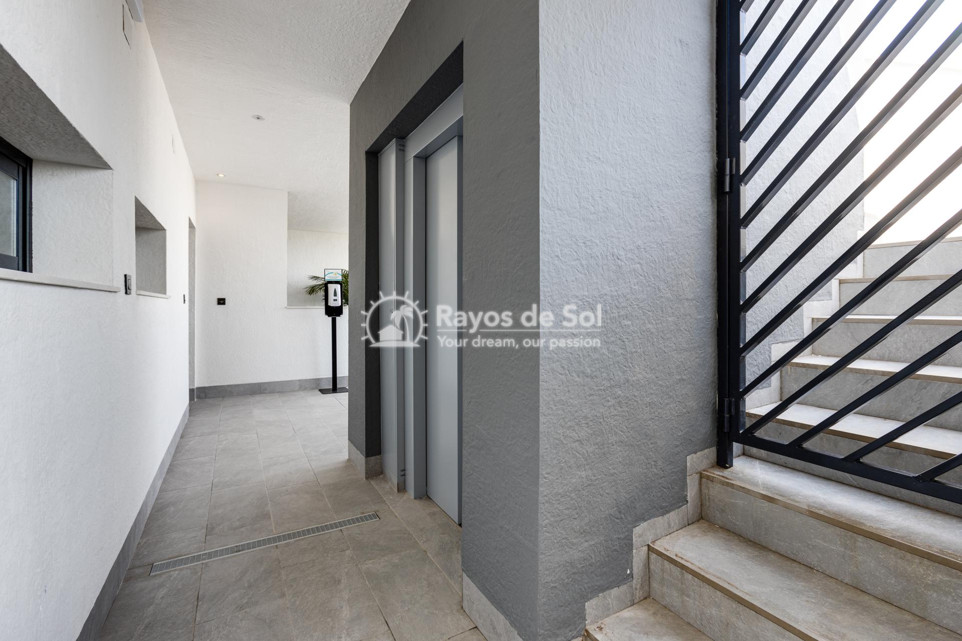 Ground floor apartment with garden  in Guardamar del Segura, Costa Blanca (GUCOOB2-2B) - 10