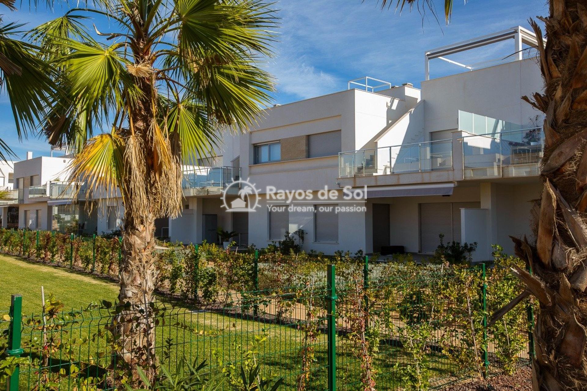 Ground floor apartment  in Vistabella Golf, Orihuela Costa, Costa Blanca (rds-n6666) - 28