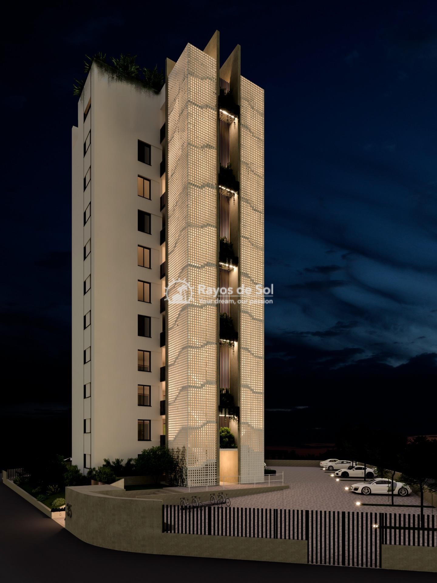 Apartment  in Guardamar del Segura, Costa Blanca (rds-n7150) - 15