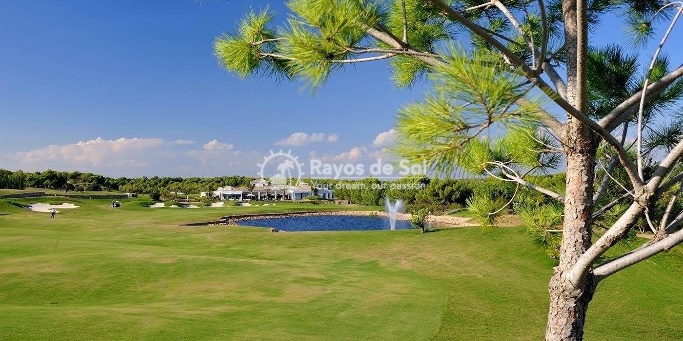 Ground floor apartment  in Las Colinas Golf and Country Club, Orihuela Costa, Costa Blanca (rds-n6913) - 16