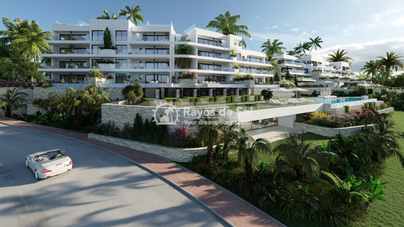 Apartment  in Las Colinas Golf and Country Club, Orihuela Costa, Costa Blanca (rds-n6915) - 2