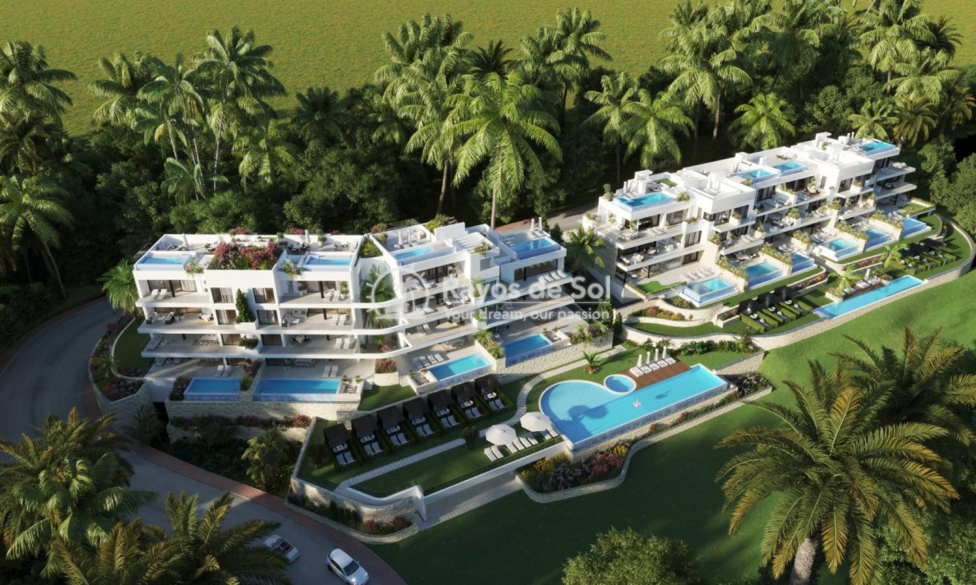 Apartment  in Las Colinas Golf and Country Club, Orihuela Costa, Costa Blanca (rds-n6915) - 4