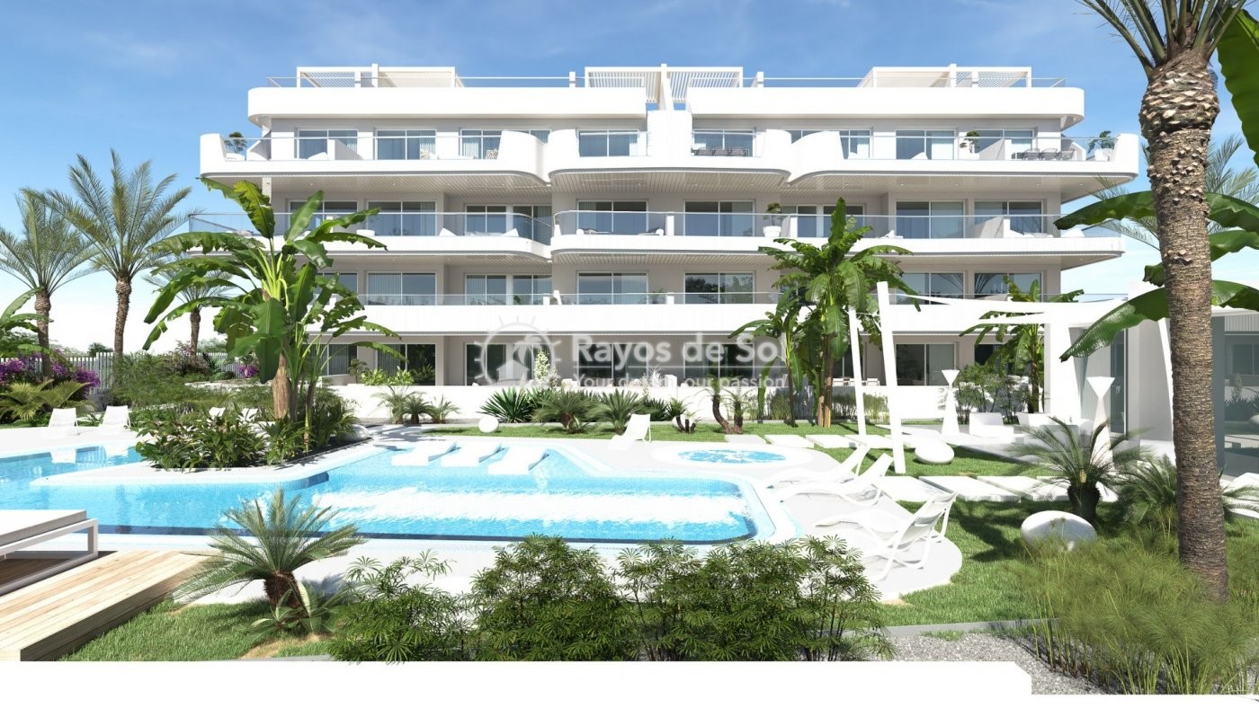 Appartement  in Cabo Roig, Orihuela Costa, Costa Blanca (rds-n6863) - 19