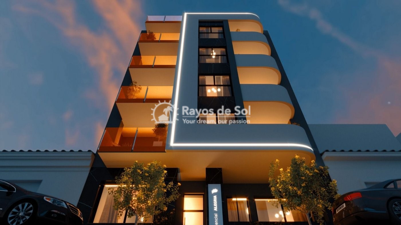 Apartment  in Torrevieja, Costa Blanca (rds-n6754) - 1
