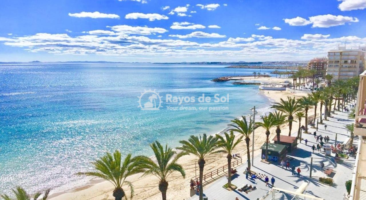 Apartment  in Torrevieja, Costa Blanca (rds-n6754) - 17