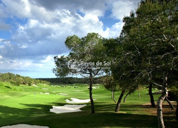 Villa  in Las Colinas Golf and Country Club, Orihuela Costa, Costa Blanca (rds-n6566) - 23