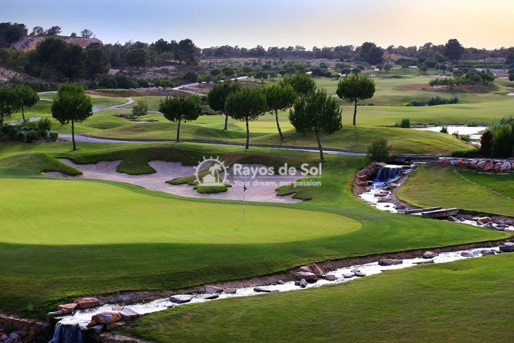 Villa  in Las Colinas Golf and Country Club, Orihuela Costa, Costa Blanca (rds-n6566) - 24