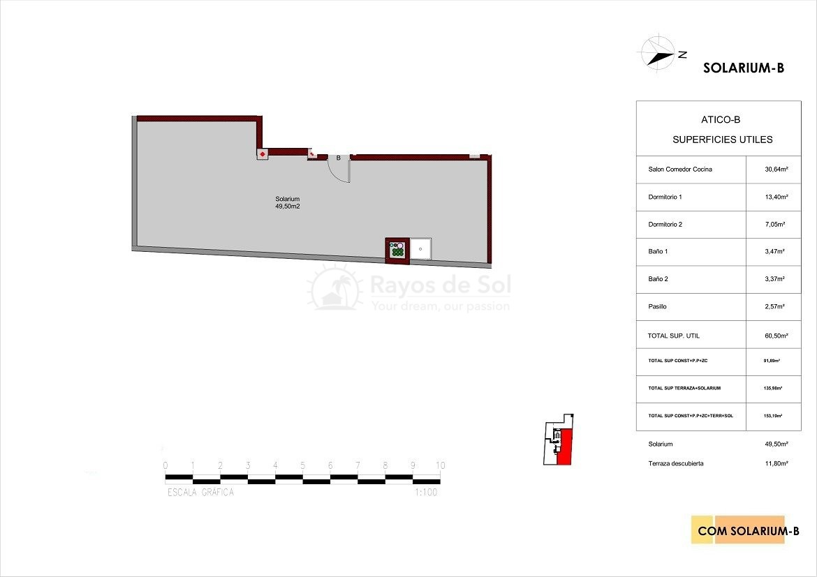 Penthouse  in Torrevieja, Costa Blanca (rds-n6755) - 13