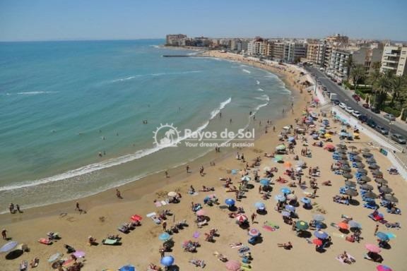 Penthouse  in Torrevieja, Costa Blanca (rds-n7272) - 21