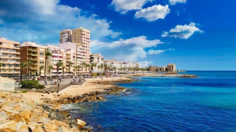 Apartment  in Torrevieja, Costa Blanca (rds-n7271) - 18