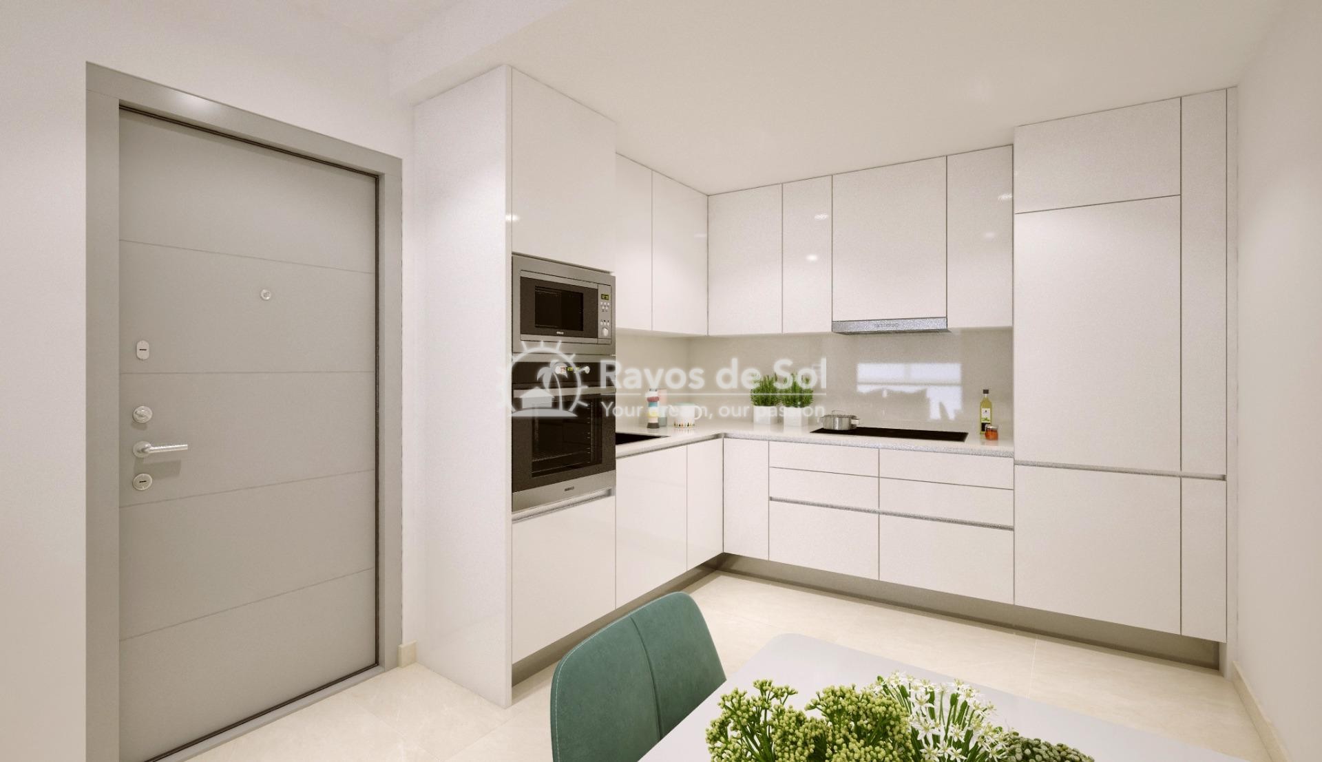 Apartment  in Torrevieja, Costa Blanca (rds-n7267) - 6