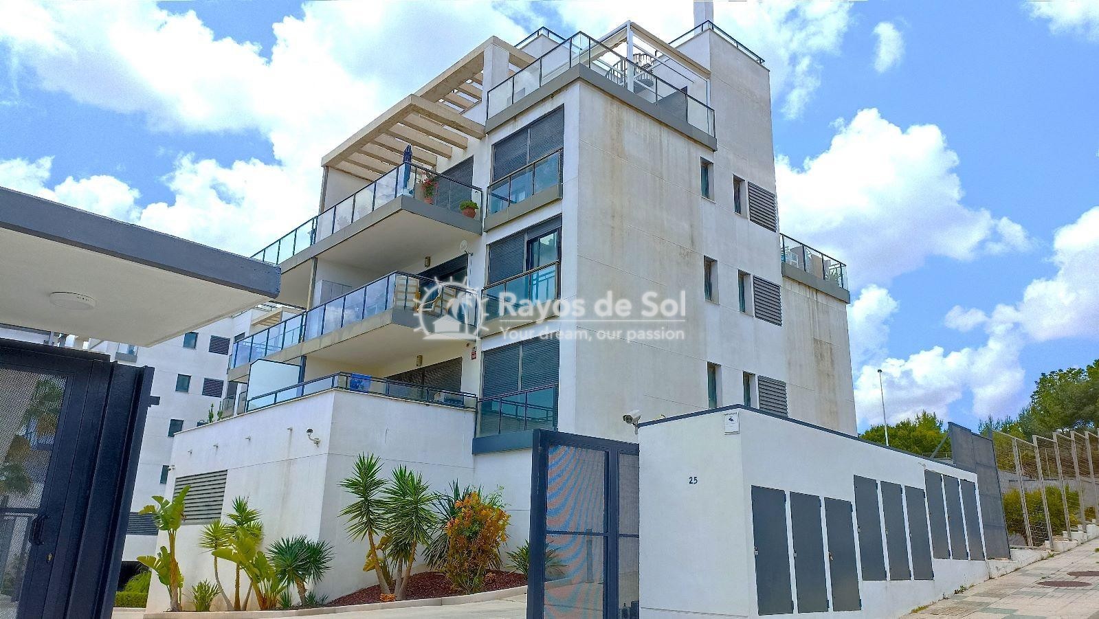 Ground floor apartment  in Lomas de Campoamor, Orihuela Costa, Costa Blanca (rds-n7309) - 2