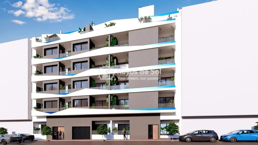 Apartment  in Torrevieja, Costa Blanca (rds-n7328) - 3