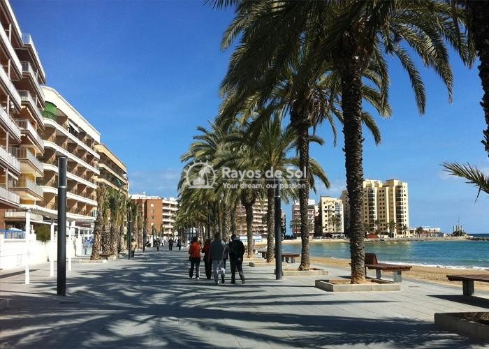 Penthouse  in Torrevieja, Costa Blanca (rds-n7336) - 15