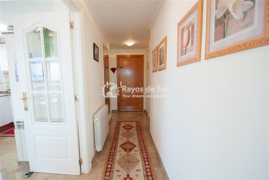 Apartment  in Calpe, Costa Blanca (3391) - 14