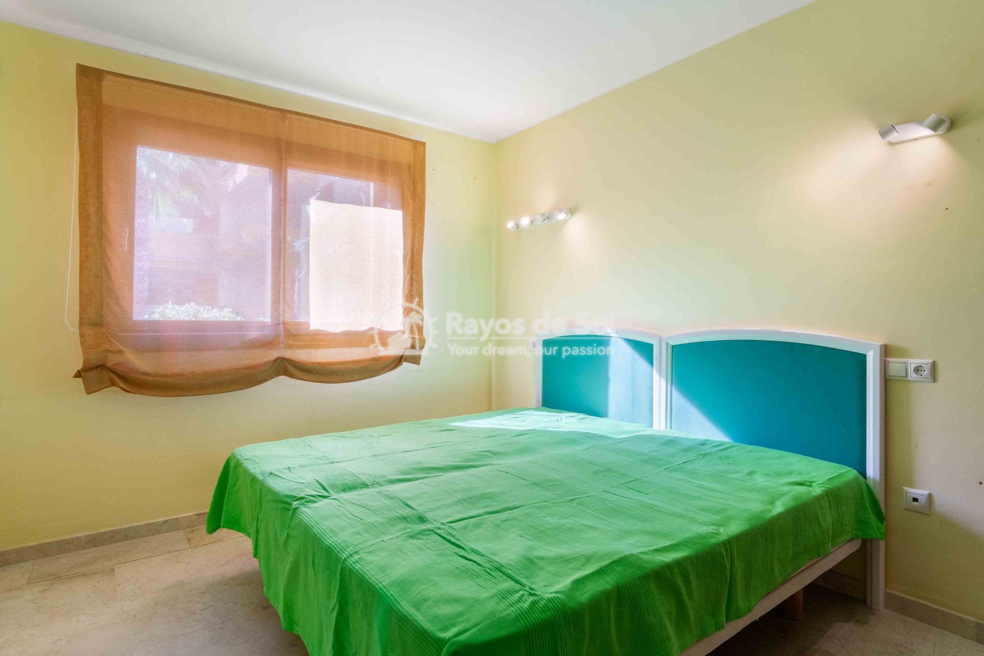 Apartment  in Punta Prima, Torrevieja, Costa Blanca (4104rv) - 9