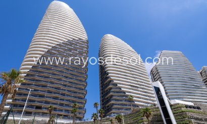 Apartamento / piso - Obra nueva - Benidorm - Spain