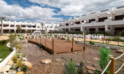 Apartamento / piso - Obra nueva - Pulpi - Spain