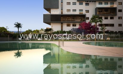 Apartment - New Build - Orihuela Costa - Dehesa de campoamor