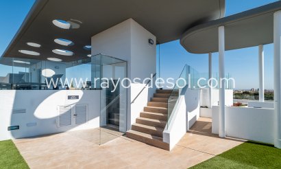 Apartment - New Build - Torrevieja - TM-30301
