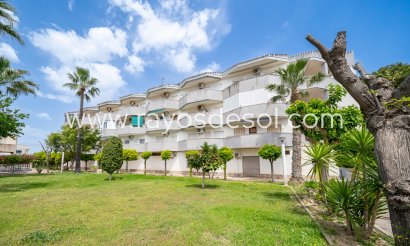 Apartment - Resale - Orihuela Costa - Cabo roig - La Zenia