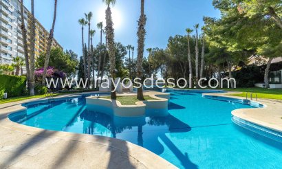 Apartment - Resale - Orihuela Costa - Dehesa de campoamor