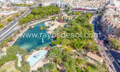 Apartment - Resale - Torrevieja - Torrevieja