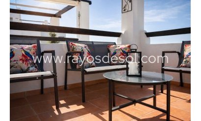 Appartement - Herverkoop - Las Terrazas de la Torre - Las Terrazas de la Torre
