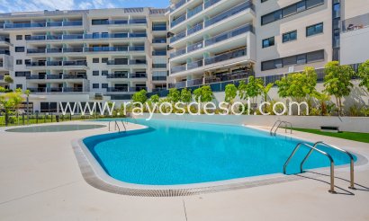 Appartement - Herverkoop - Orihuela Costa - CBW-97593