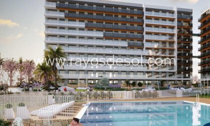 Appartement - Neue Gebäude - Torrevieja - Punta Prima