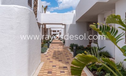 Appartement - Nieuwbouw - Pulpi - Spain