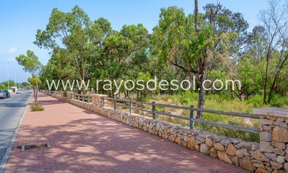 Appartement - Wiederverkauf - Guardamar del Segura - Guardamar