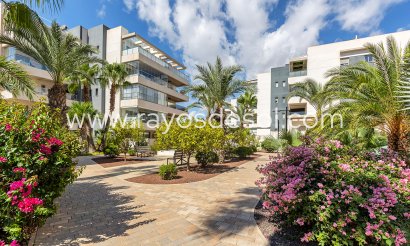 Appartement - Wiederverkauf - Orihuela Costa - BE-22575