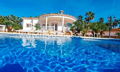 Casa de campo - Finca - Reventa - Catral - PCE-56211
