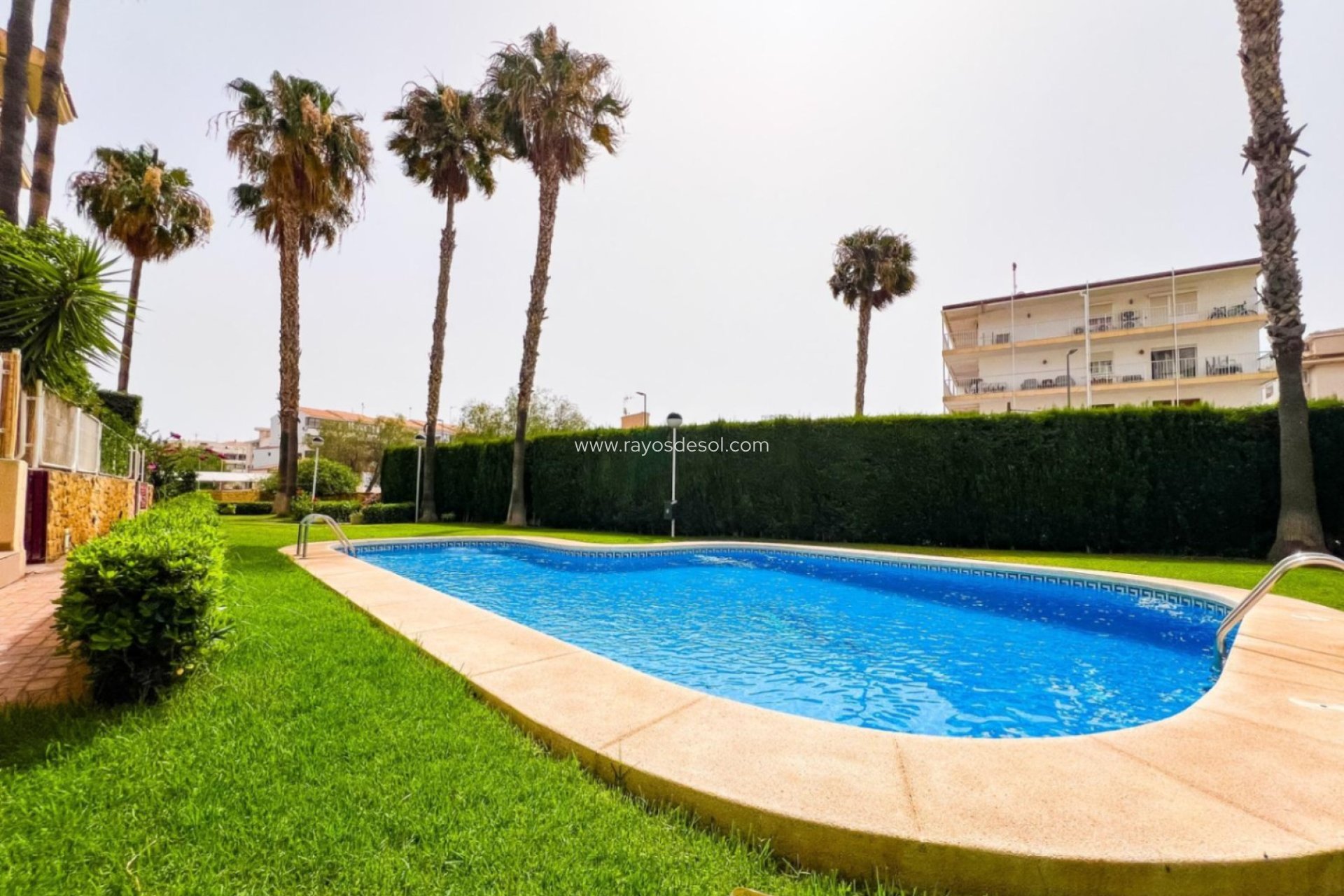 Herverkoop - Appartement - Altea - Puerto