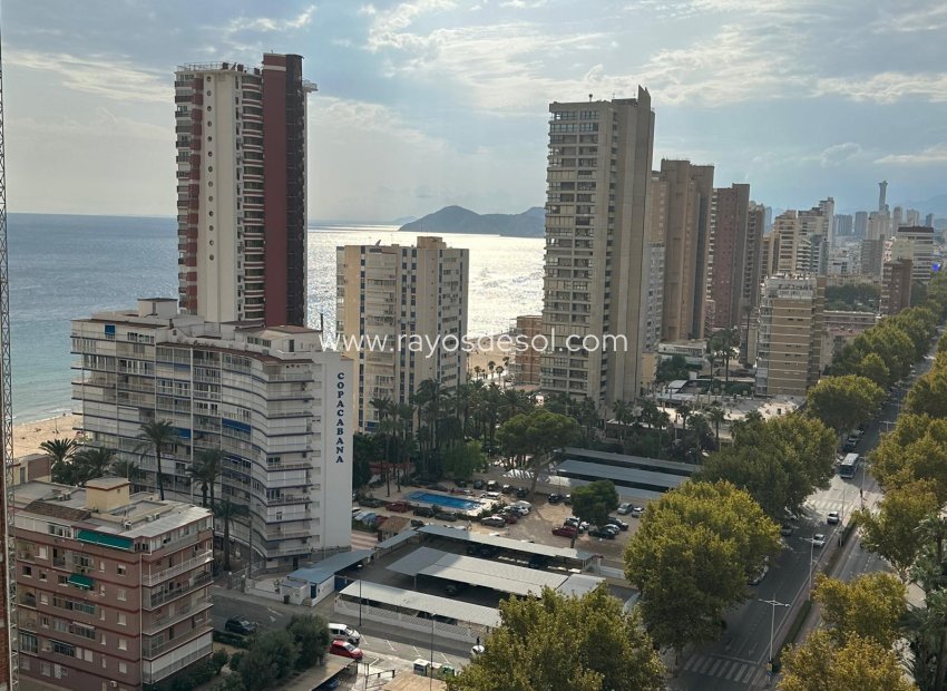 Herverkoop - Appartement - Benidorm - Avenida del Mediterraneo