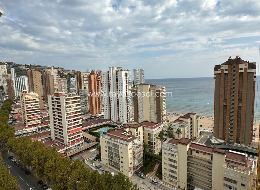 Herverkoop - Appartement - Benidorm - Avenida del Mediterraneo