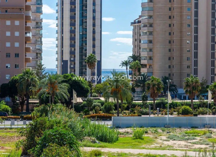 Herverkoop - Appartement - Calpe - Playa Arenal-Bol