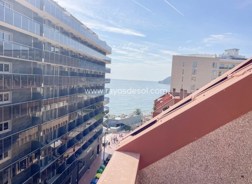 Herverkoop - Appartement - Calpe - Playa Arenal-Bol