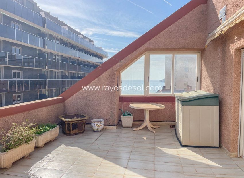 Herverkoop - Appartement - Calpe - Playa Arenal-Bol