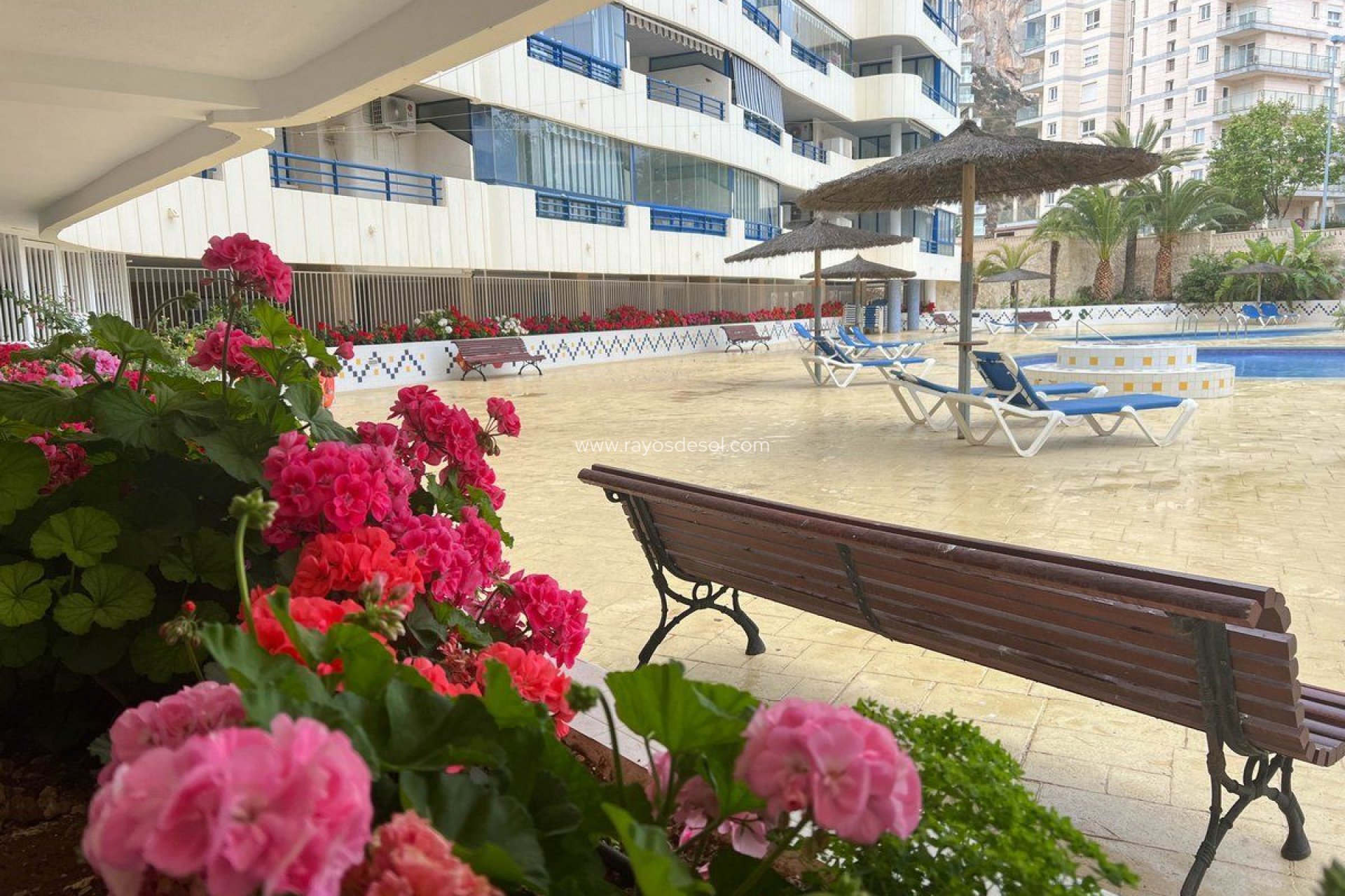 Herverkoop - Appartement - Calpe - Playa De La Fossa