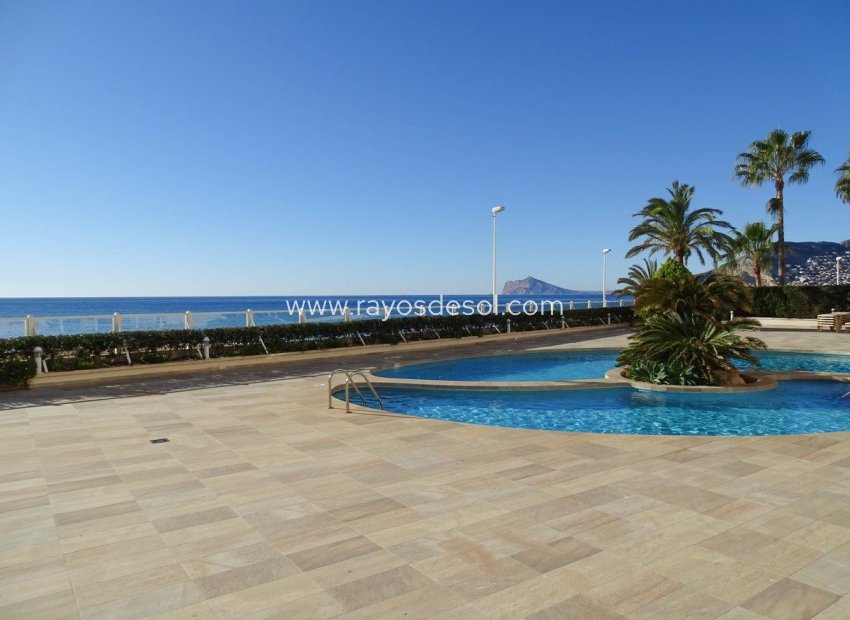 Herverkoop - Appartement - Calpe - Puerto