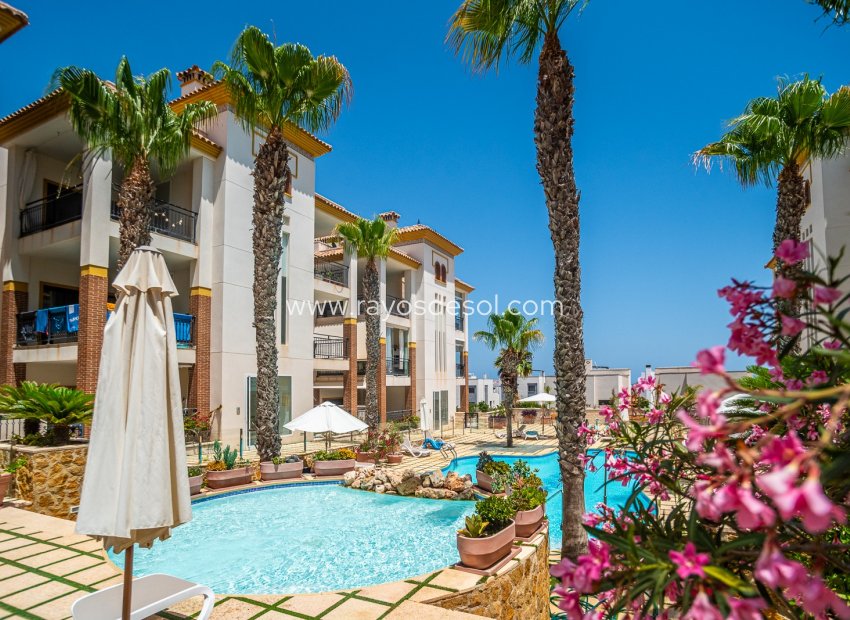 Herverkoop - Appartement - Guardamar del Segura