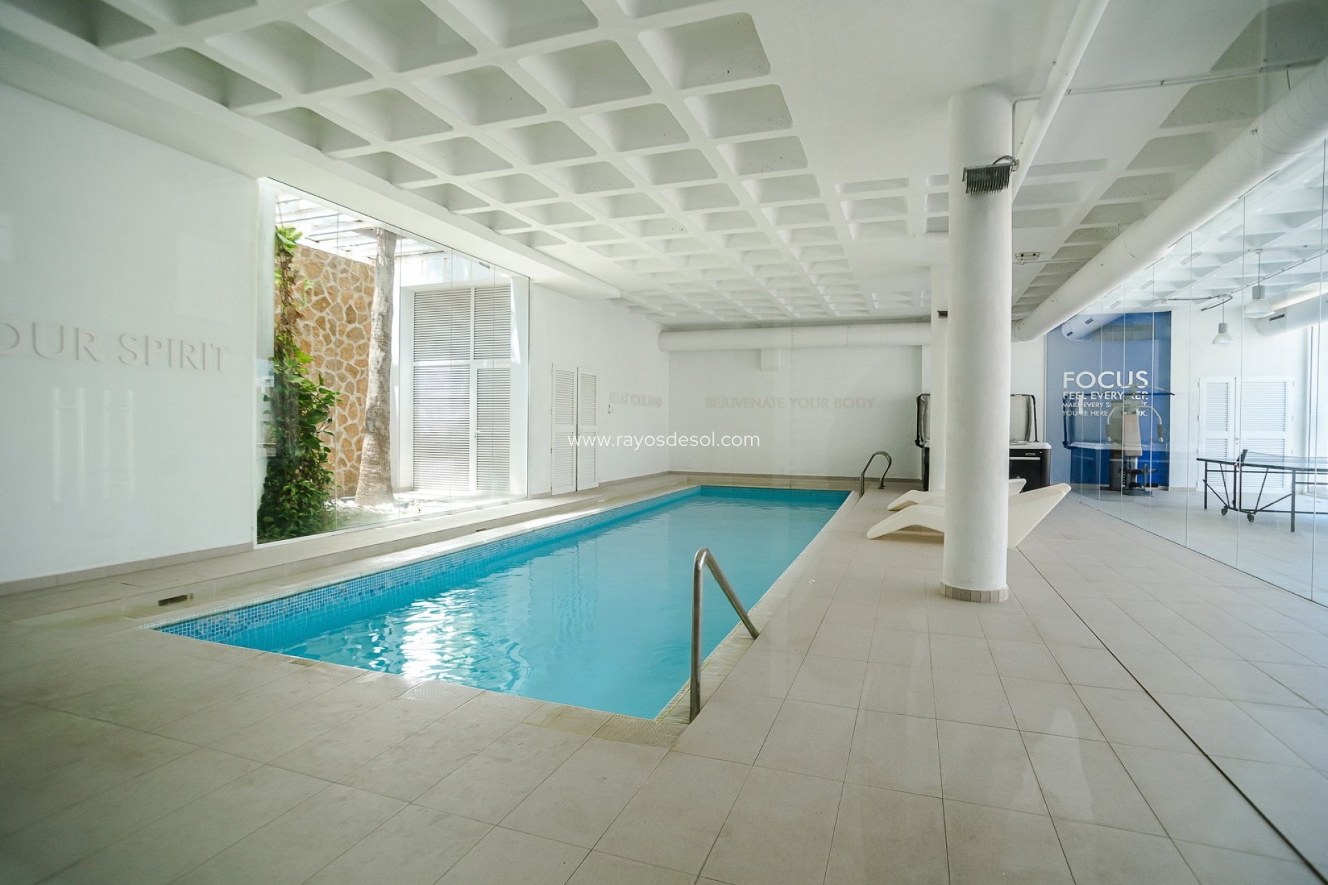 Herverkoop - Appartement - Guardamar del Segura