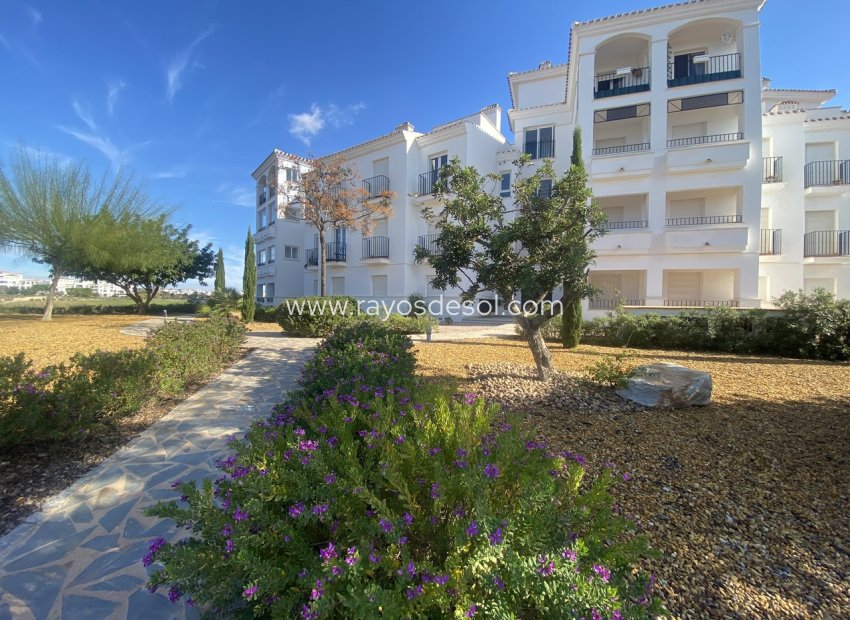 Herverkoop - Appartement - Hacienda Riquelme Golf Resort