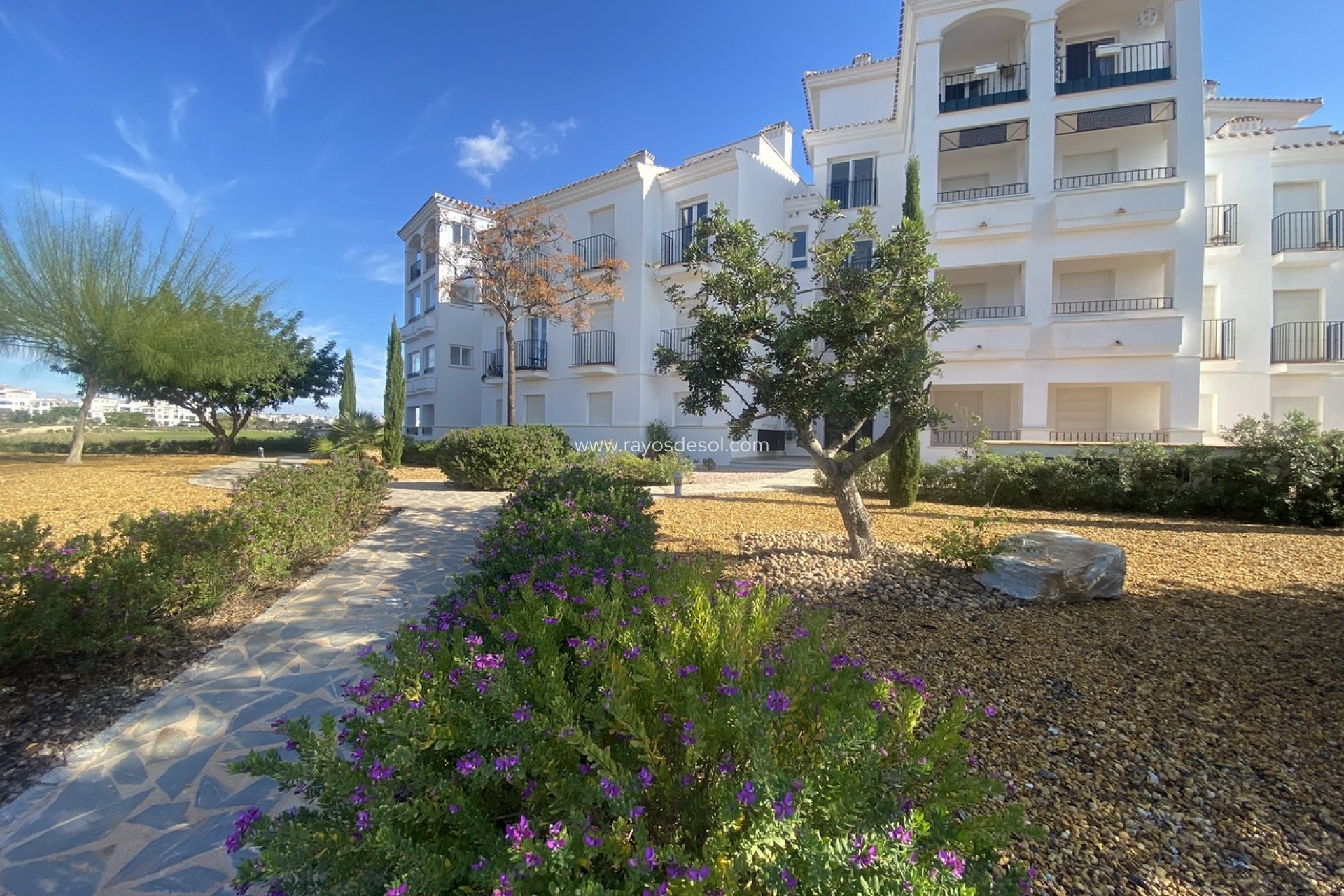 Herverkoop - Appartement - Hacienda Riquelme Golf Resort