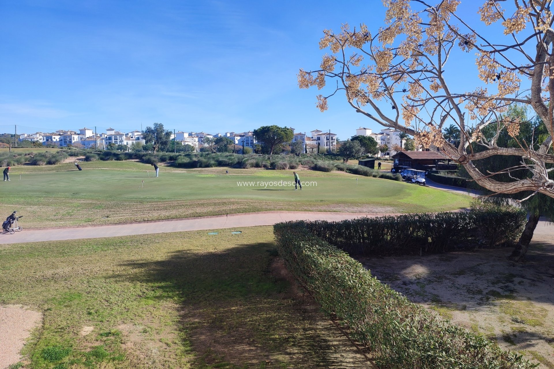 Herverkoop - Appartement - Hacienda Riquelme Golf Resort